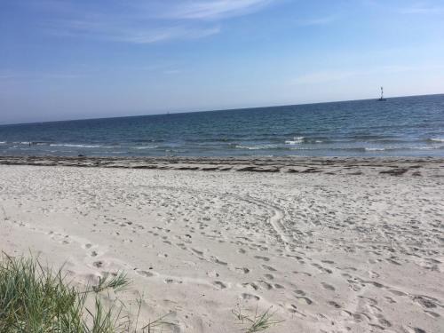 Aspet Hostel | ÅhusGården Vandrarhem