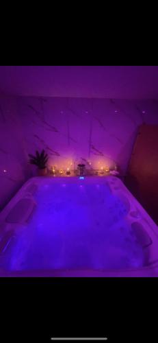Barberey-aux-Moines Hotel | Évasion SPA 10