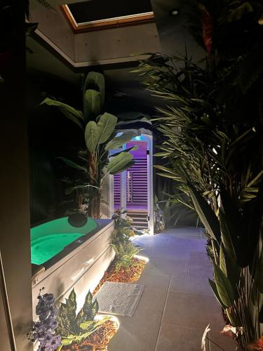 Centre Ville Apartment | Évasion tropicale à deux pas du centre Appartement Jungle