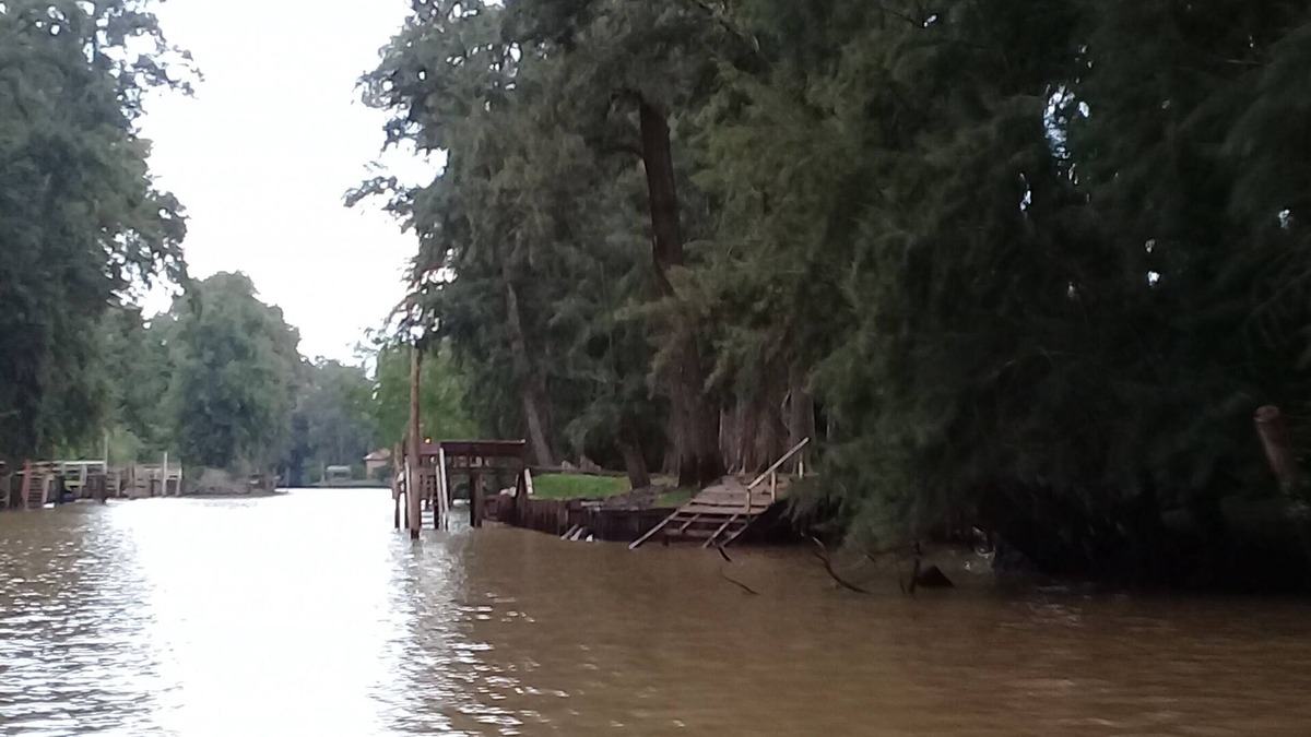 Partido de Tigre Cottage | Íntima cabaña en la rivera del río Espera. Arboleda, parque, muelle propio,PAZ.