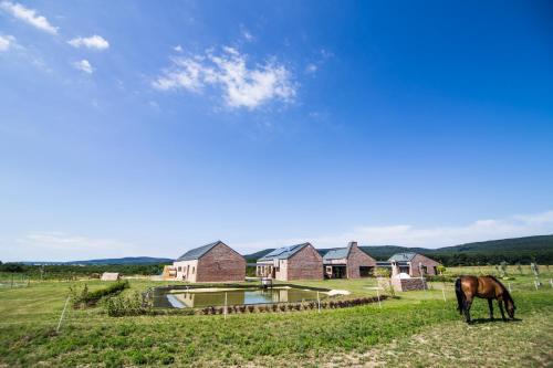 Szar House | Öregtölgy Vendégház