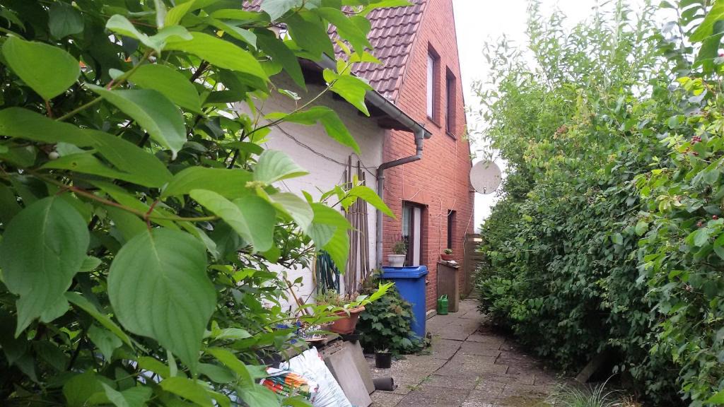 Oesterdeichstrich Apartment | Österdeichstrich