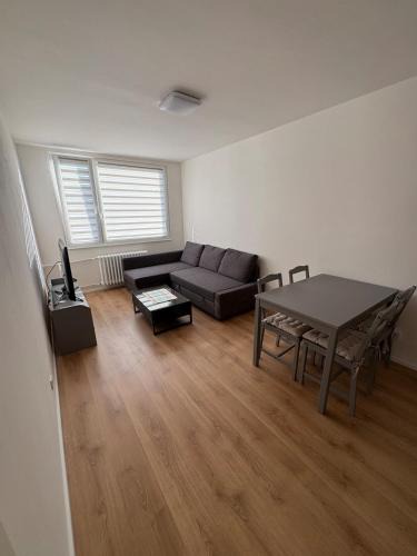 Chodov Apartment | Čenětická Apartment