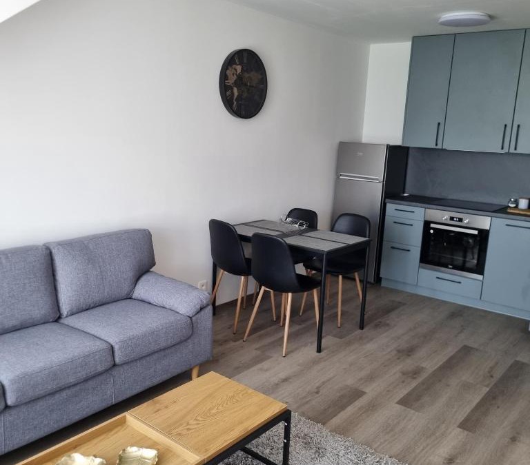 Plzen Apartment | Černá Růže- Apartmán 5