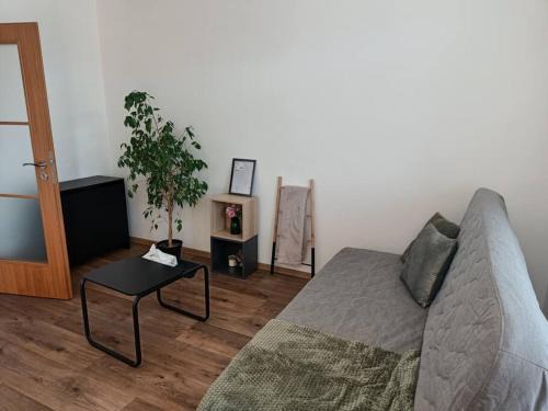 Kunovice Apartment | Červená cesta