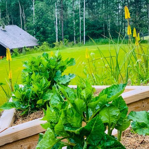 Borzestowska Huta Villa | Śliczny domek z sauną
