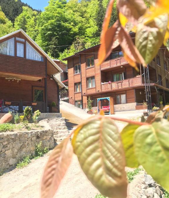 Caykara Apartment | ŞEN BUTİK OTEL ve BUNGALOV
