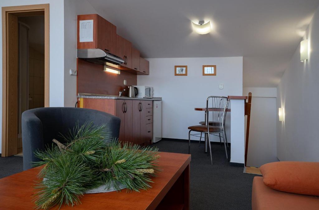 Strbske Pleso Apartment | Štúdiá Správa TANAPu