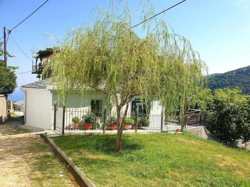 Zagora-Mouresi Apartment | Ξυλοπετρα/Wood & stone house