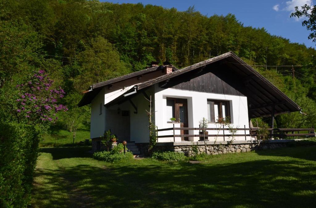 Ribaritsa Villa | Вила Даяна