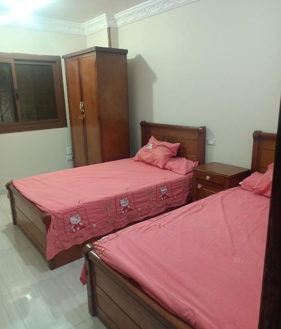 Mansoura Apartment | المنصورة شقة مفروشة غرفة وصالة ومطبخ وحمام مكيفة