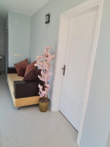 Al Bahah Apartment | شقة بحوش خاص 2