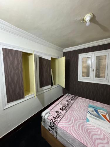 Mansoura Apartment | شقه صغيره فندقيه في موقع مميز جديده وفرش وموبيليا جديده