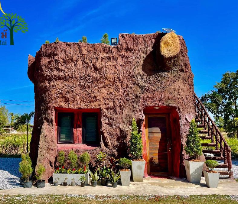Kalasin House | บ้านตอไม้ Stump House