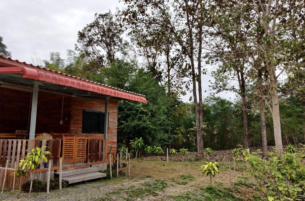 Mae On House | สายฝนการ์เด้น