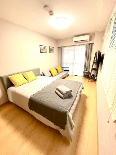 Shinkoiwa Apartment | 新小岩デメテル303