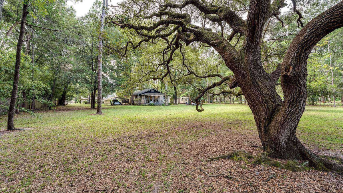 Lakeside House | 1 Acre Home |Woodsy & Fenced |Dogs Ok |Firepit |Close to Dining/Shops | Moody Oaks Rental Next Door