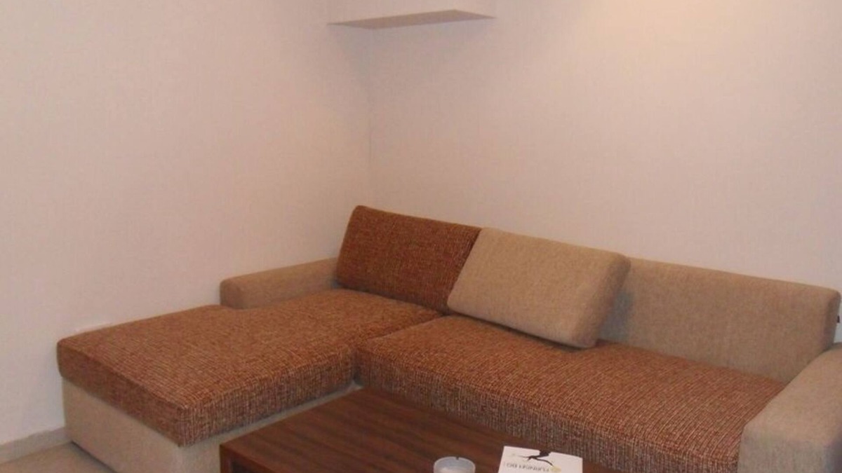 Shiligarnika Apartment | 1 Bed Aparmtent In Bansko plus sofa bed