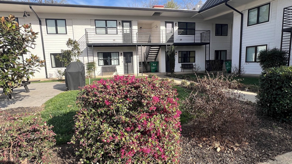 Plaza Midwood Apartment | 1 Bedroom Apt3 very close to Uptown Charlotte and Novant Presbyterian