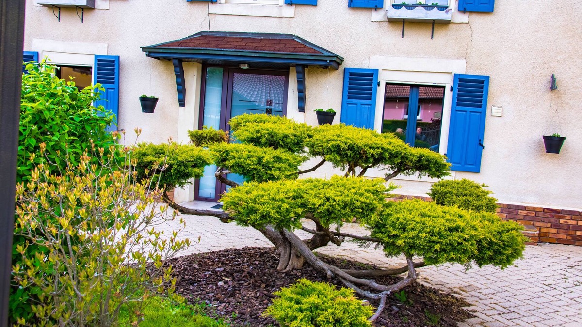 La Baffe Bed & Breakfast | 1 Bedroom Bed & Breakfast In La Baffe