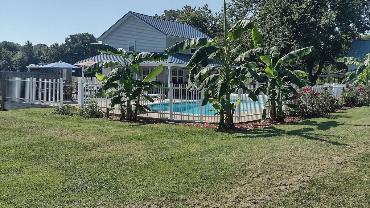 Nazareth Cottage | 1-bedroom poolhouse w/private heated pool, within 10 miles to 11 distilleries.