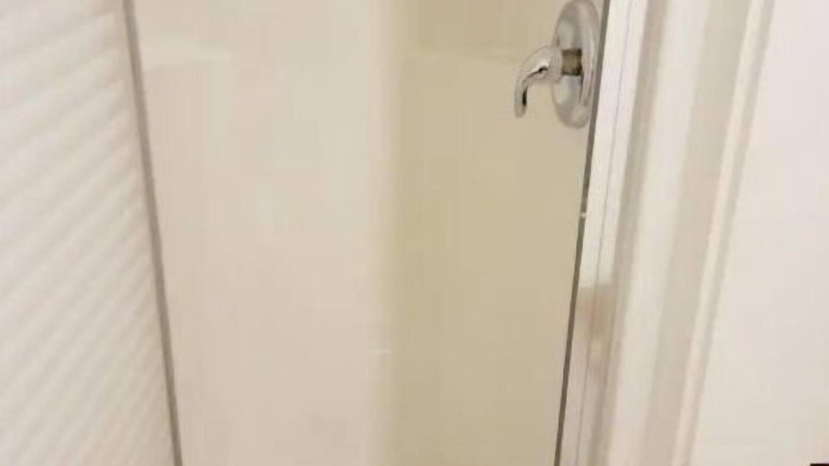 Transcona Apartment | 1 Bedroom Private Basement Suite