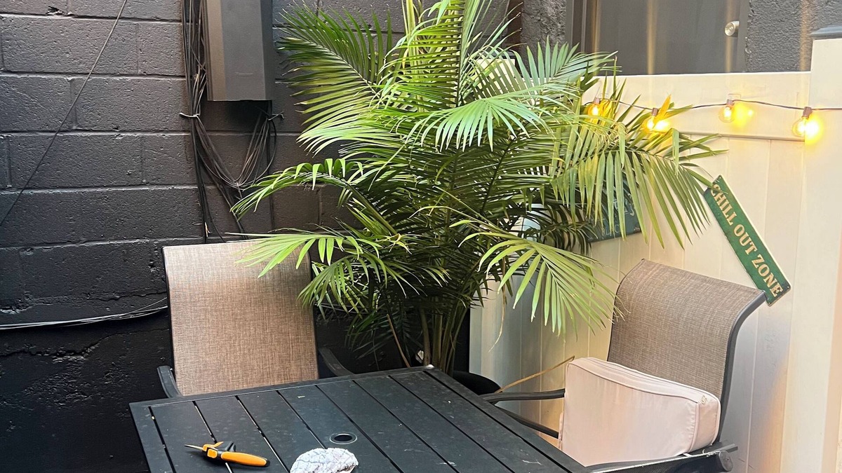 Bushwick Apartment | 1 Large studio APARTMENT NEWLY RENOVATED with backyard