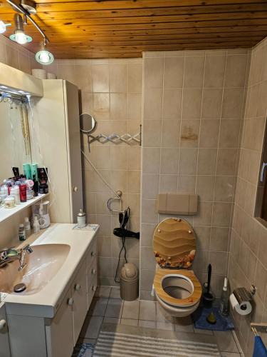 Vernayaz House | 1 ou 2 chambre dans la Méson privé