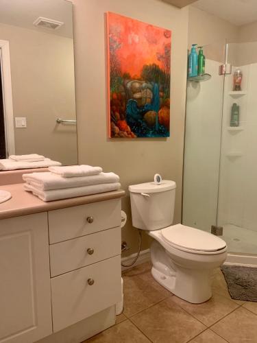 Guelph House | 1 room in a cozy and beautiful basement