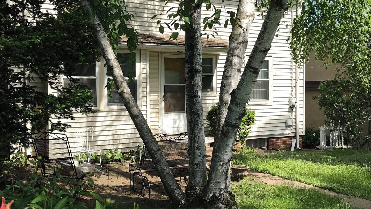 Nokomis House | 10,000 Lakes 10 minutes from airport!