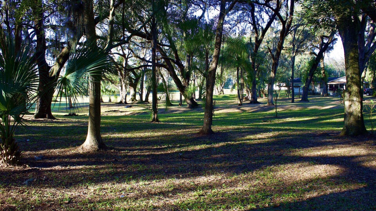 Zephyrhills West House | 10 % DISCOUNT Cheerful home on 3.5 acres with plenty parking/long term rental
