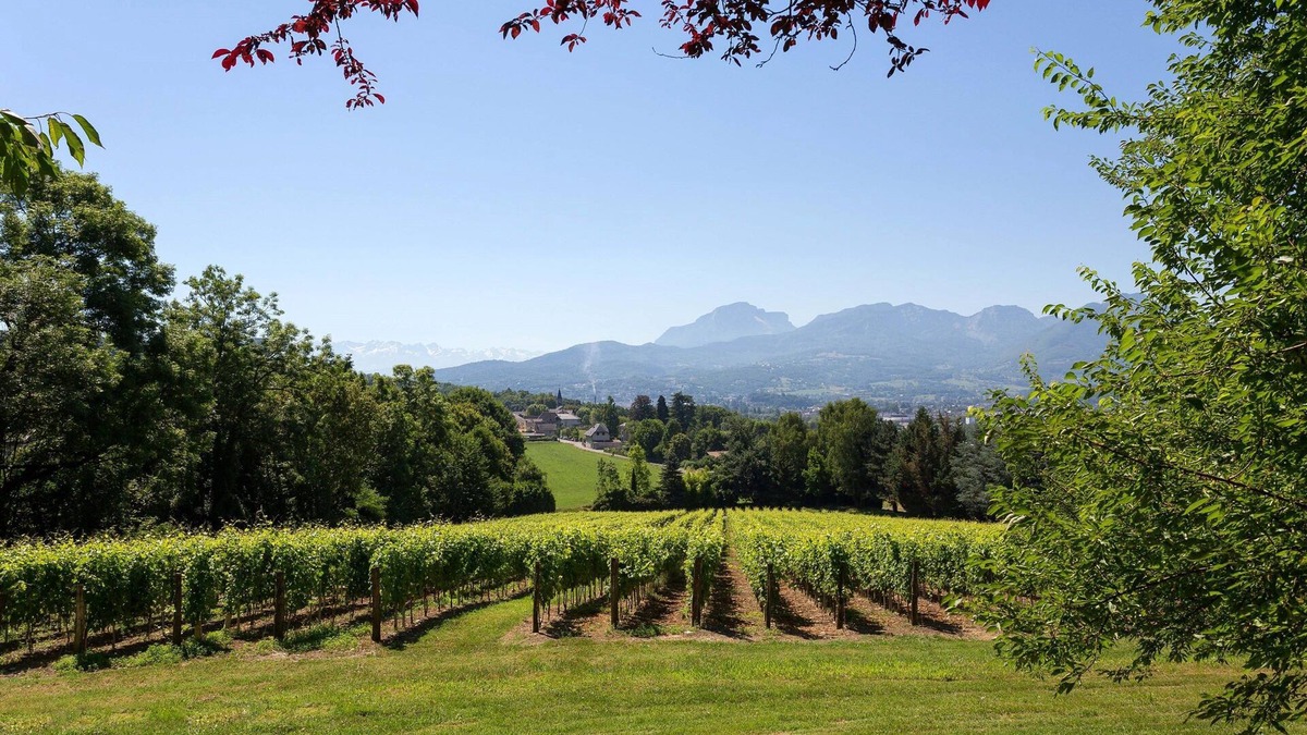 Chambery Apartment | 10 mins de Chambéry ! Chateau, Piscine, Fitness