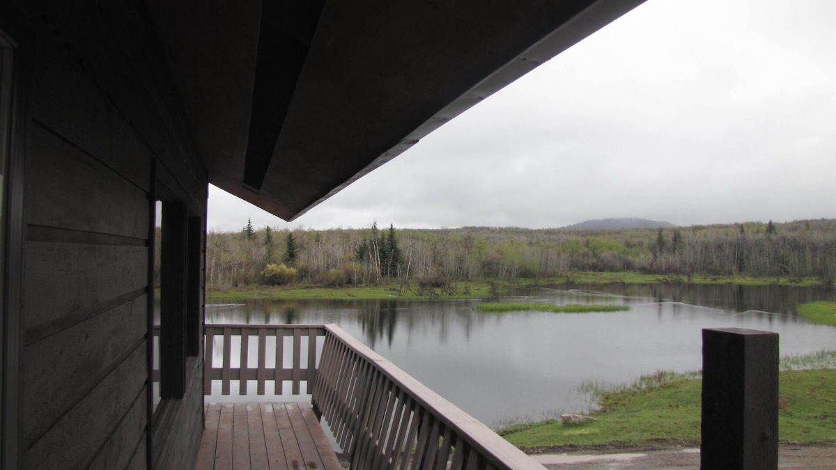 Mountain View Cabin | 10 minutes from Waterton Park boundry, Quiet Peaceful Secluded Nature Get-a-way