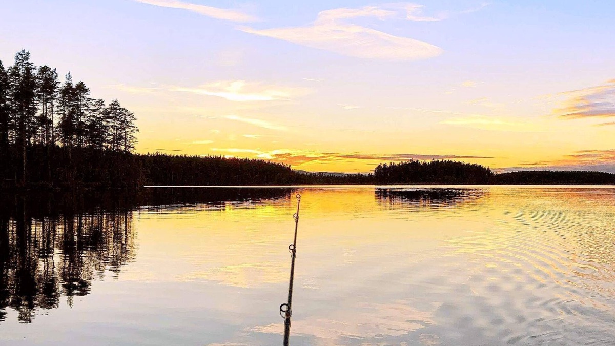 Stoten House | 10 person holiday home in SÄLEN