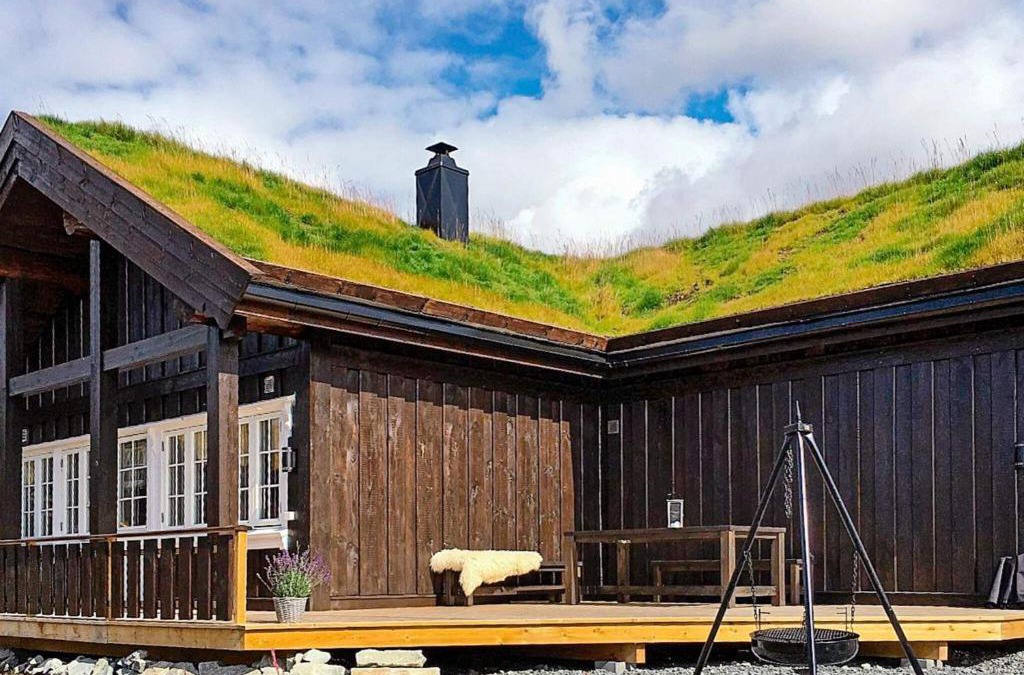 Rauland House | 10 person holiday home in Rauland-By Traum