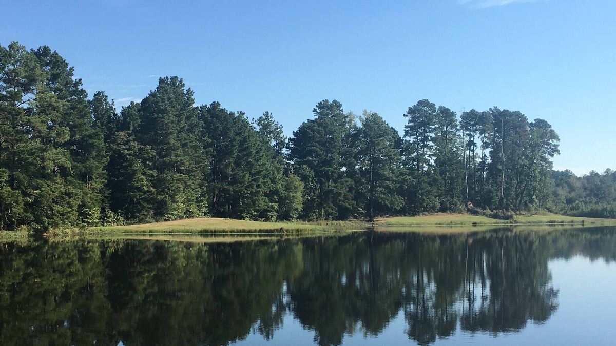 Marshall House | 10% Spring Discount Beautiful Time of Year