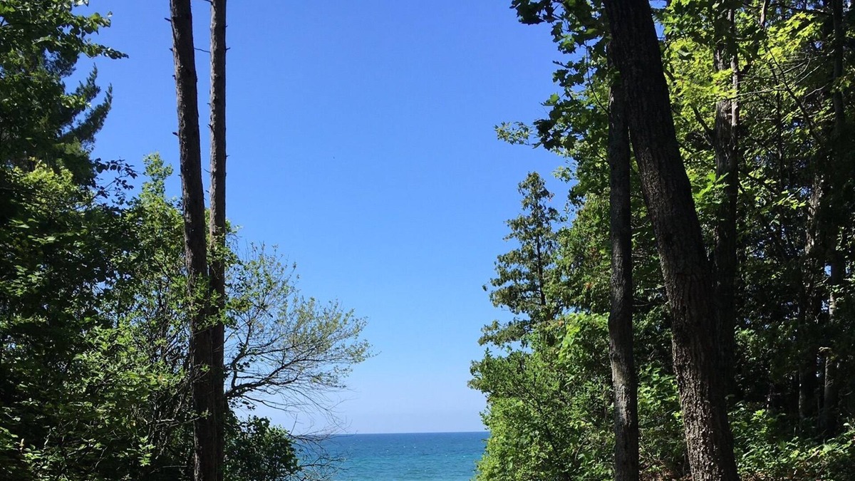 Tiny House | 100 m to Bluewater beach and boardwalk. Entire Cottage for the whole family!