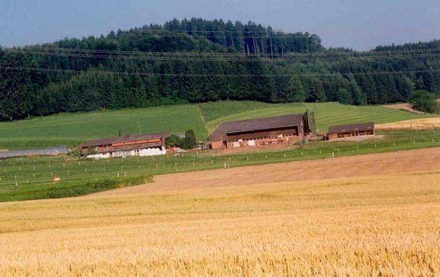 Dietikon District Apartment | 100 m² Apartment ∙ 4 bedrooms ∙ 11 guests