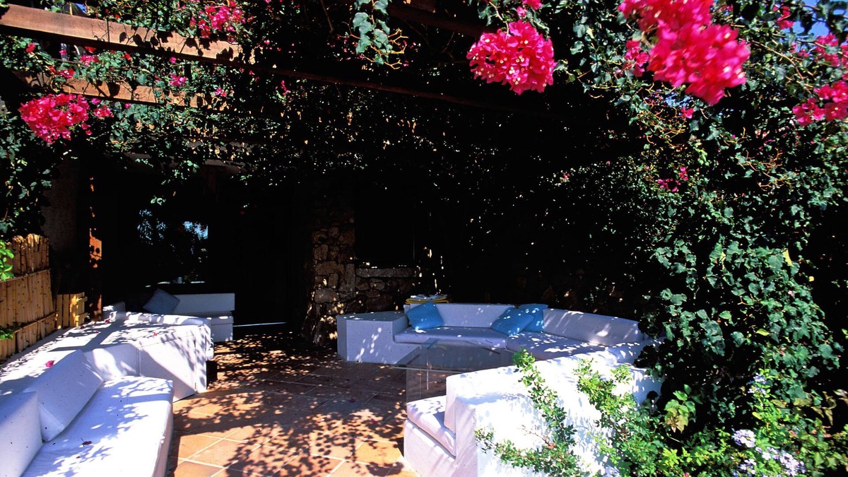Porto Rotondo Apartment | 100 steps to the turquoise sea: flowered garden and shaded bougainvillea terrace
