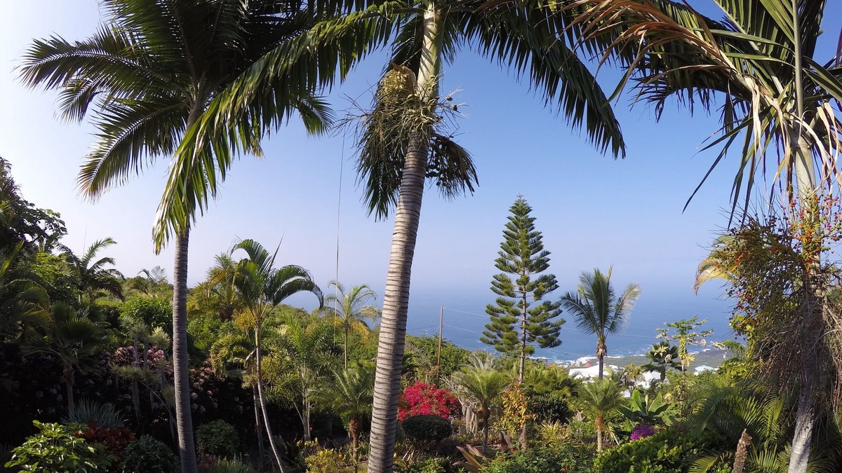 Kona Paradise Apartment | 1000 Ft Elevation Overlooking The Beautiful Pacific Ocean