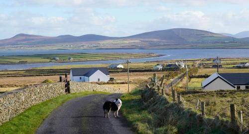 Belmullet Apartment | 102 m² Apartment ∙ 2 bedrooms ∙ 4 guests