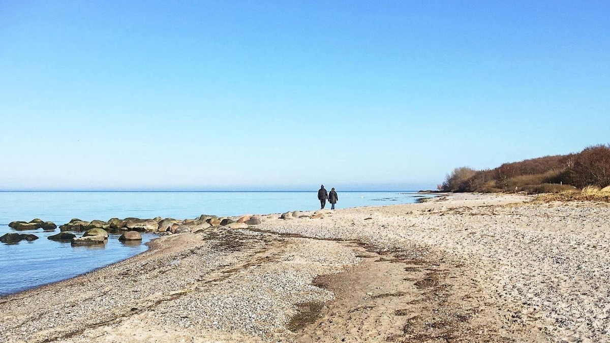 Strøby Ladeplads House | 11 person holiday home in Strøby