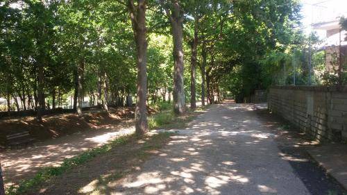 Poggio House | 110 m² House ∙ 3 bedrooms ∙ 7 guests