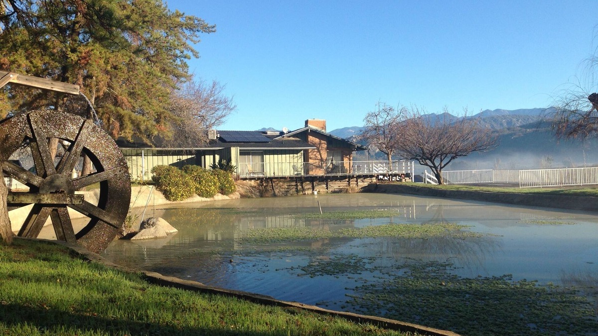 Springville Other | 12 acre Ranch with Pickle Ball with lights, Pool, Jacuzzi views and Cows