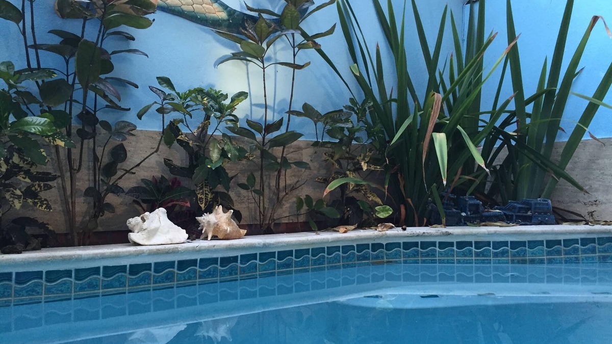 Parque House | 12 steps to Beach, Private pool, Best location, Tank and Plant, WF high. 6 max.n
