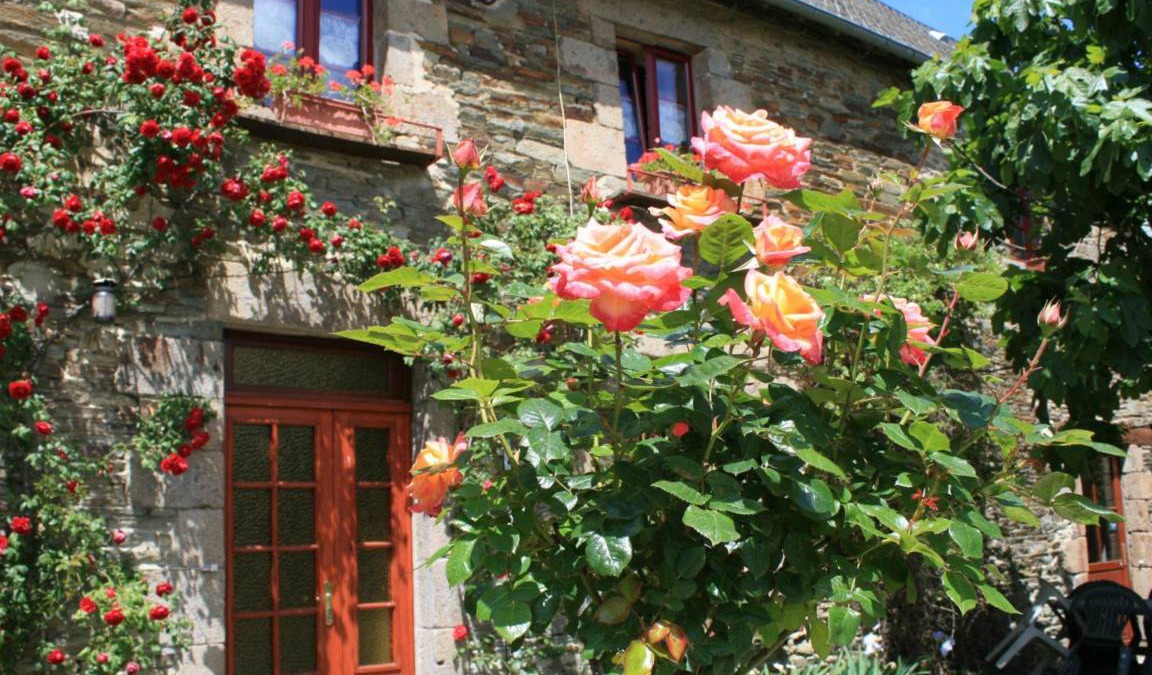 Servon Cottage | 120 m² Cabin ∙ 3 bedrooms ∙ 9 guests