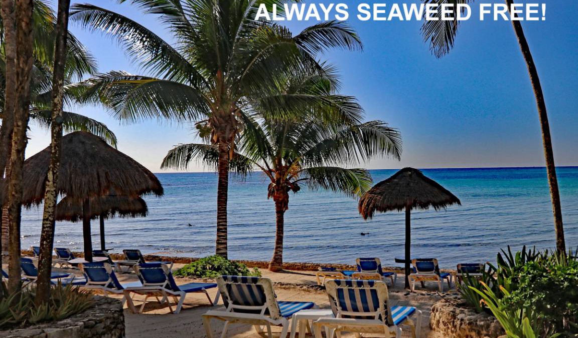 Akumal Condo | 139 m² Condo ∙ 2 bedrooms ∙ 5 guests
