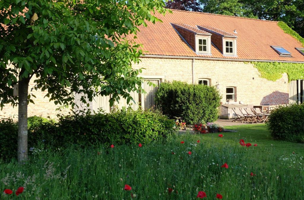 Olmen Bed & Breakfast | 15 inn