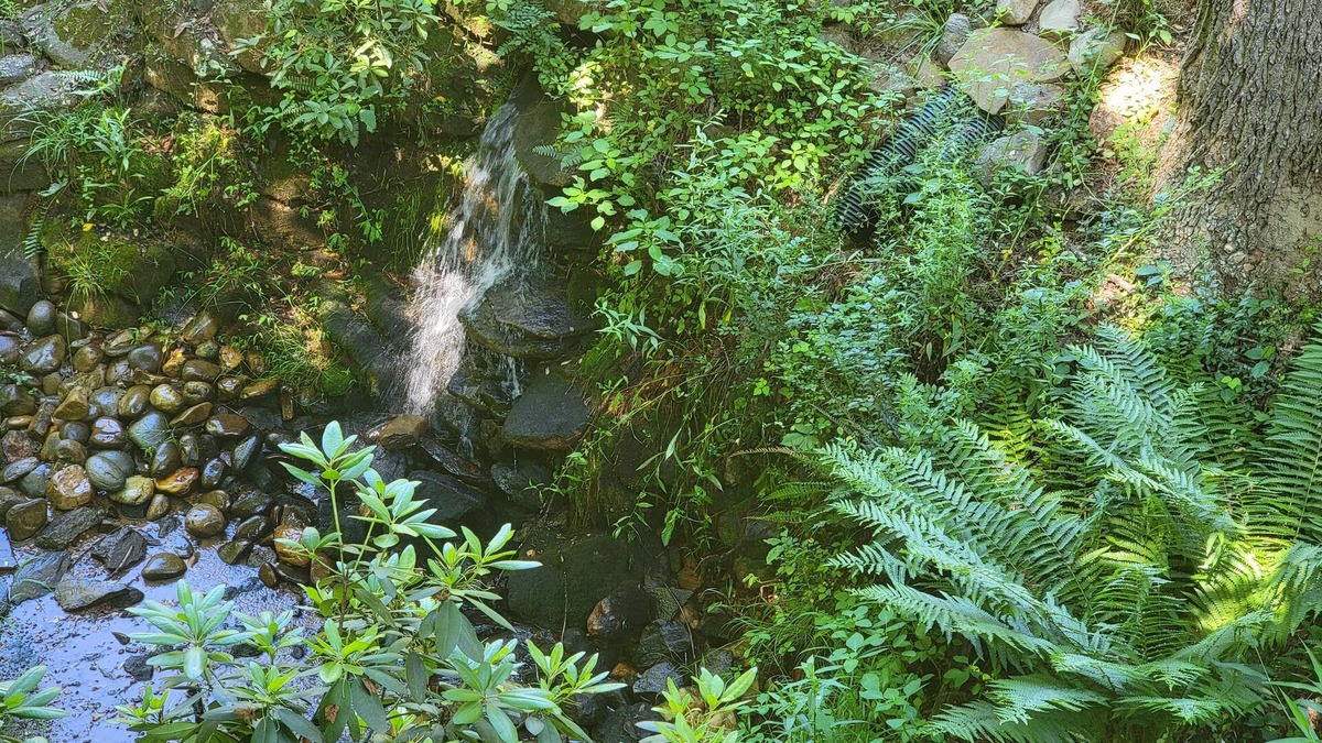 Franklin House | 1660 Guest House; Waterfall, Creek, Large Deck, Fire Ring