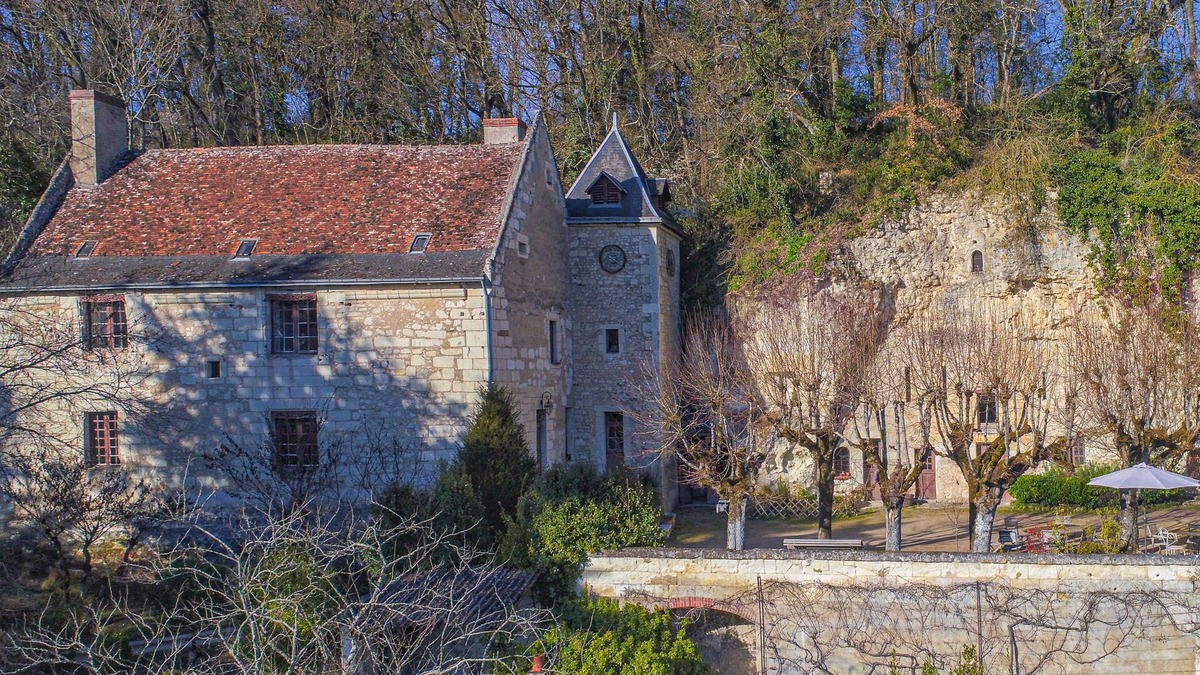 Bourre Other | 16th century manor house with 4 bedrooms near Chenonceau and Beauval Zoo